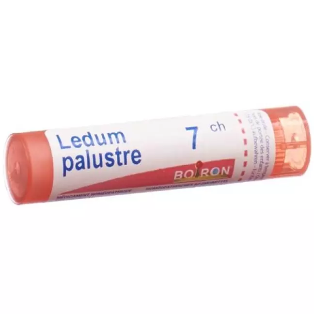 Boiron Ledum Palustre в гранулах C 7 4г Boiron Ledum Palustre в гранулах C 7 4г