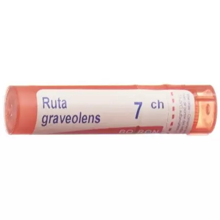 Boiron Ruta Graveolens в гранулах C 7 4г Boiron Ruta Graveolens в гранулах C 7 4г