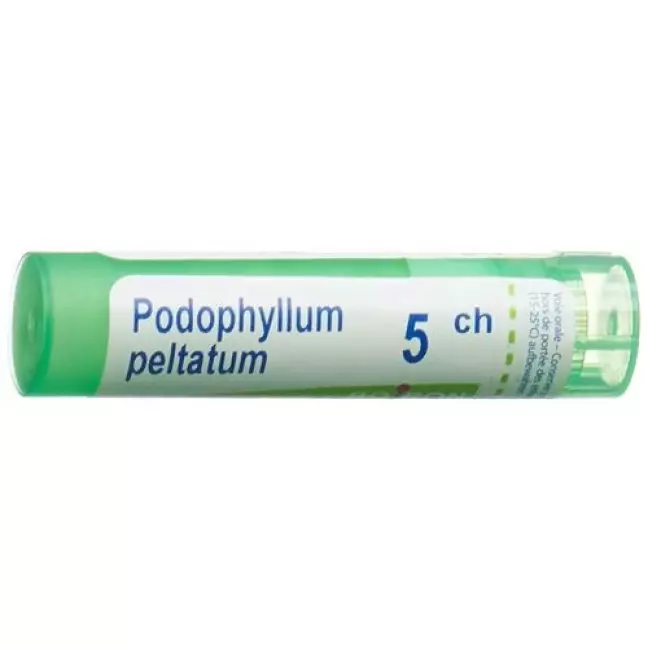 Boiron Podophyllum Peltatum в гранулах C 5 4г Boiron Podophyllum Peltatum в гранулах C 5 4г