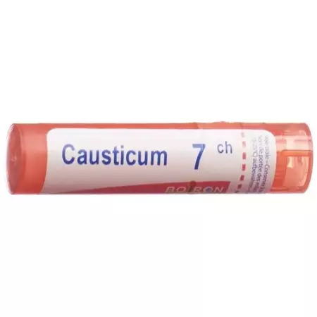 Boiron Causticum в гранулах C 7 4г Boiron Causticum в гранулах C 7 4г