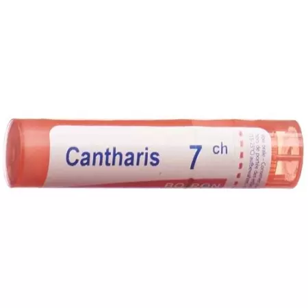 Boiron Cantharis в гранулах C 7 4г Boiron Cantharis в гранулах C 7 4г