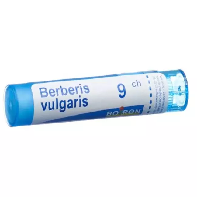 Boiron Berberis Vulgaris в гранулах C 9 4г Boiron Berberis Vulgaris в гранулах C 9 4г