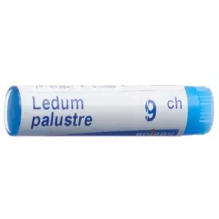 Boiron Ledum Palustre шарики C 9 1 доза