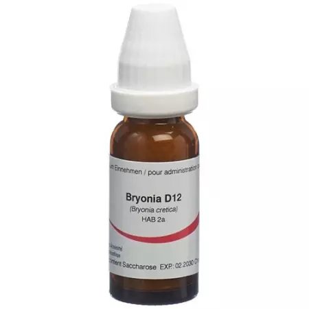OMIDA BRYONIA GLOB D 12 14