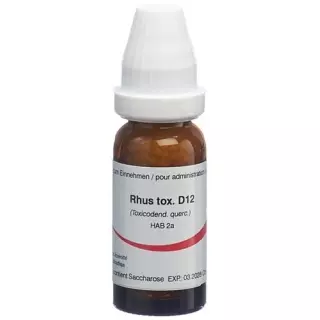 OMIDA RHUS TOXICODENDRON 1