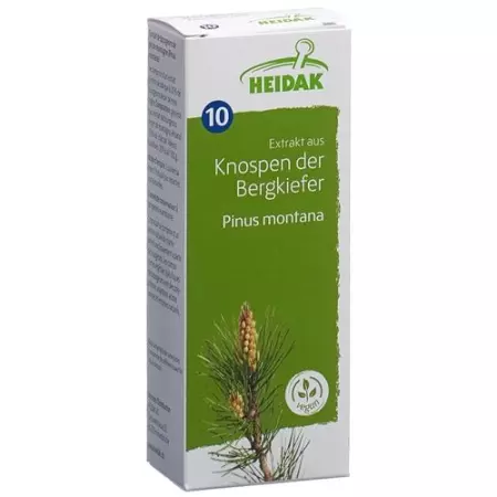 HEIDAK KN BERGKIEFER PINUS MON HEIDAK KN BERGKIEFER PINUS MON
