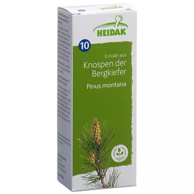 HEIDAK KN BERGKIEFER PINUS MON HEIDAK KN BERGKIEFER PINUS MON