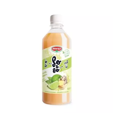 SO&SO INGWER-LIMETTE KONZ STEV SO&SO INGWER-LIMETTE KONZ STEV