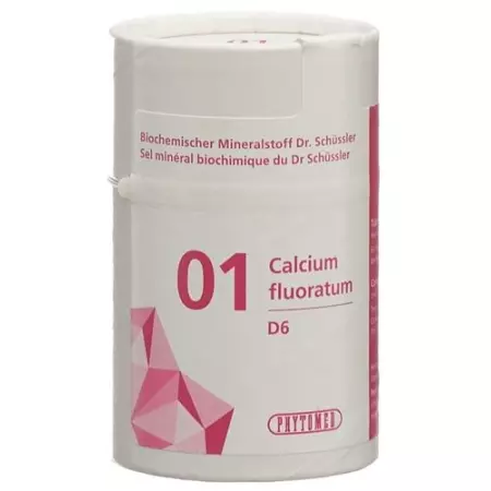 Phytomed Schussler Nr. 1 Calc Fluor в таблетках, D 6 100г Phytomed Schussler Nr. 1 Calc Fluor в таблетках, D 6 100г