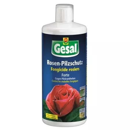 GESAL ROSEN PILZSCHUTZ FOR GESAL ROSEN PILZSCHUTZ FOR