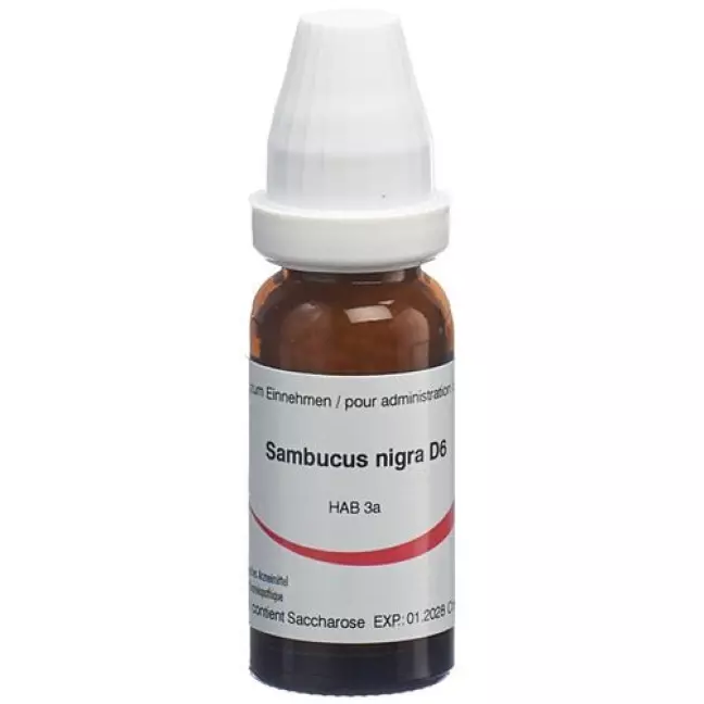 OMIDA SAMBUCUS NIGRA GLOB