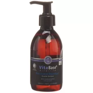 Vitabase Basisches Duschgel Dispenser 500ml