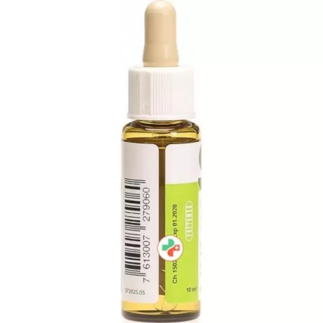 Phytomed Bachbluten No9 Weisse Waldrebe бутылка 10мл Phytomed Bachbluten No9 Weisse Waldrebe бутылка 10мл