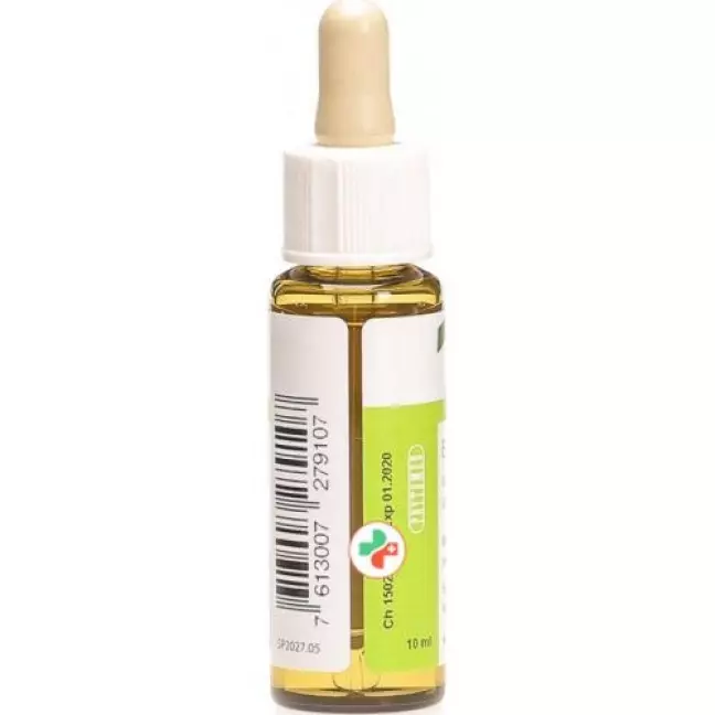 Phytomed Bachbluten No11 Ulme бутылка 10мл Phytomed Bachbluten No11 Ulme бутылка 10мл