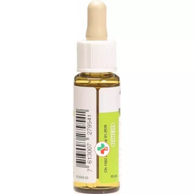 Phytomed Bachbluten No33 Walnuss бутылка 10мл Phytomed Bachbluten No33 Walnuss бутылка 10мл