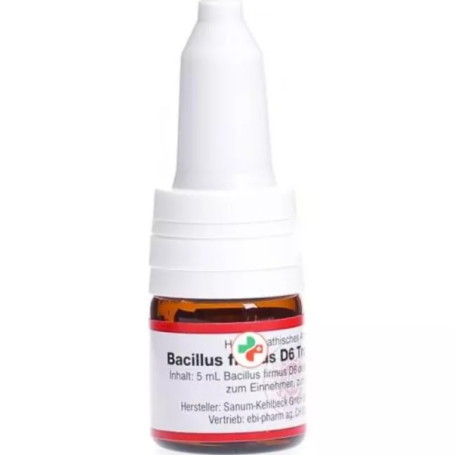 Sanum Bacillus Firmus капли D 6 5мл Sanum Bacillus Firmus капли D 6 5мл