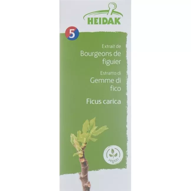 HEIDAK Bud Fig Ficus carica Glyc Maz HEIDAK Bud Fig Ficus carica Glyc Maz