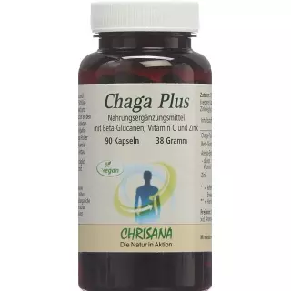 CHRISANA Chaga Plus Kaps