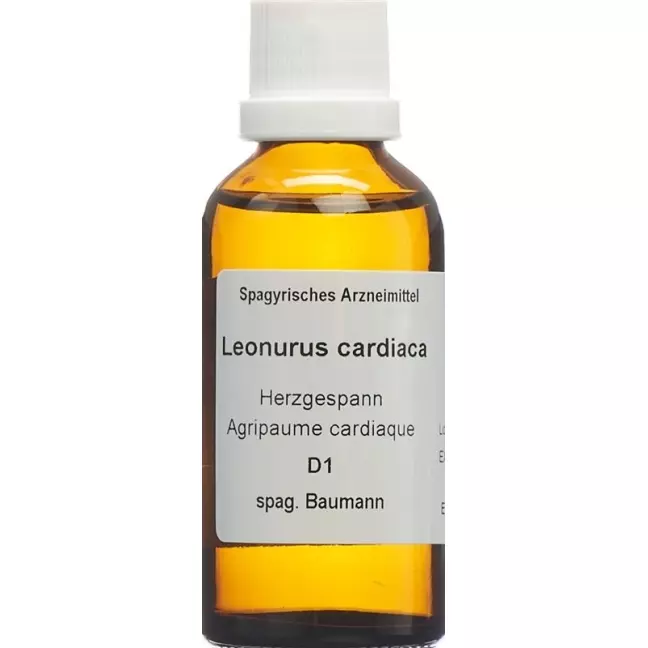 SPAGYROS SPAGYR Leonurus cardiaca SPAGYROS SPAGYR Leonurus cardiaca