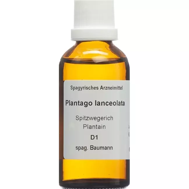 SPAGYROS SPAGYR Plantago lanceolata SPAGYROS SPAGYR Plantago lanceolata