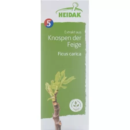 HEIDAK Bud Fig Ficus carica Glyc Maz HEIDAK Bud Fig Ficus carica Glyc Maz