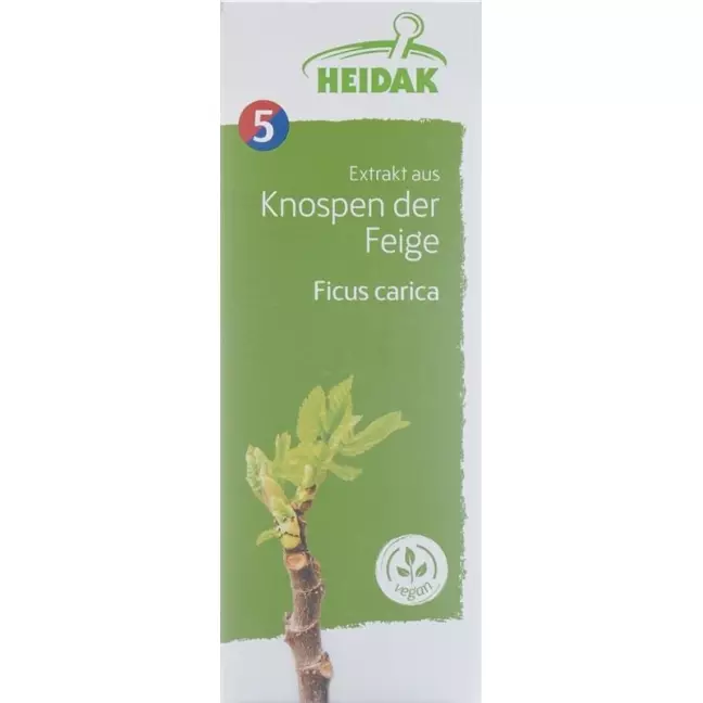 HEIDAK Bud Fig Ficus carica Glyc Maz HEIDAK Bud Fig Ficus carica Glyc Maz