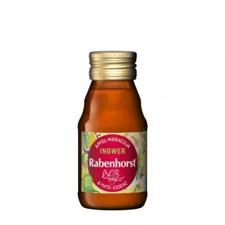 RABENHORST Ingwer-Mate Shot Bio