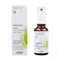 PHYTOMED Knospenextrakt Feigenbaum