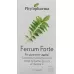 Фитофарма Феррум Форте капсулы Дс 100 шт.