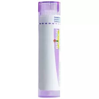 Boiron Lac Caninum Granulat C 30 4g