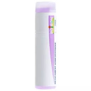 Boiron Psorinum Bioth Globuli C 30 1 Dos