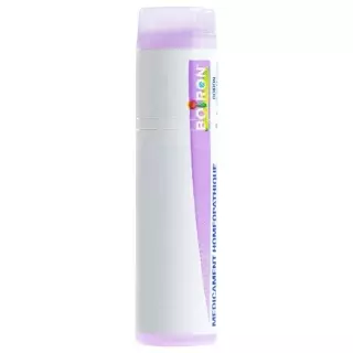 Boiron Psorinum Bioth Globuli C 30 1 Dos