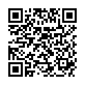 QR PROPOINT KNIEORTHESE S