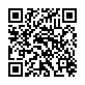 QR AMBUSPUR II BEATMUNGSBEUTEL