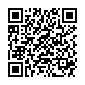 QR DIEM LESEBR ASPEN BR 2.0