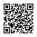 QR DIEM LESEBR ASPEN BR 3.0
