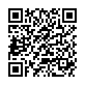 QR DIEM LESEBR ASPEN ROT 3.0