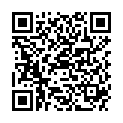 QR DIEM LESEBR GENF BRAUN 2.0