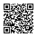 QR DIEM LESEBR GENF BRAUN 3.0