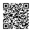 QR DIEM LESEBR GENF GRUEN 2.0