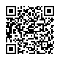 QR DIEM LESEBR GENF GRUEN 3.0