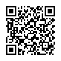 QR DIEM LESEBR KLAPPMODELL GR 2.0