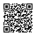 QR DIEM LESEBR MOSKAU BRAUN 2.0