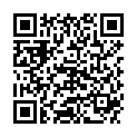 QR DIEM LESEBR NEWYORK BRAUN  2.0