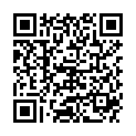 QR DIEM LESEBR NEWYORK BRAUN  3.0