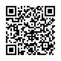 QR DIEM LESEBR NEWYORK BLAU 2.0