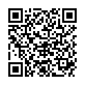 QR DIEM LESEBR NEWYORK BLAU 3.0