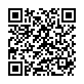 QR DIEM LESEBR PUR BLK 3.0