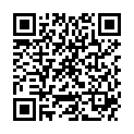 QR DIEM LESEBR PUR DEMI 2.0