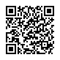 QR DIEM LESEBR ROM BRAUN 2.0